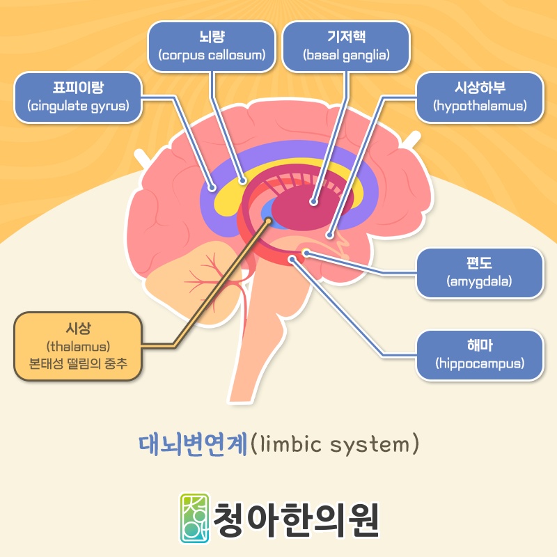 본태성떨림이 만드는 손떨림과 만남의 부담