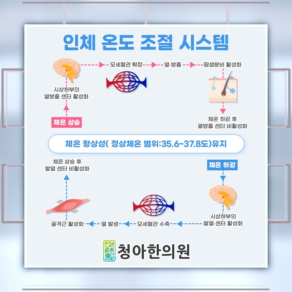 따뜻하게 입어도 가시지 않는 수족냉증의 시림