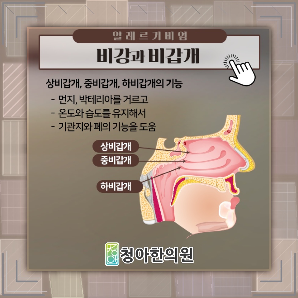 계절 변화에 민감한 알레르기비염, 반복되는 증상 살펴보기