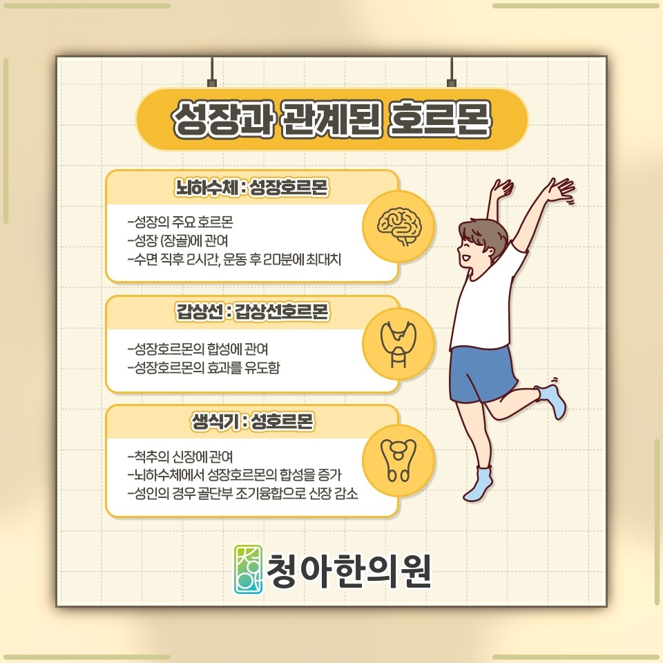 예상 키를 바탕으로 살펴보는 성장 가능성과 관리 방향